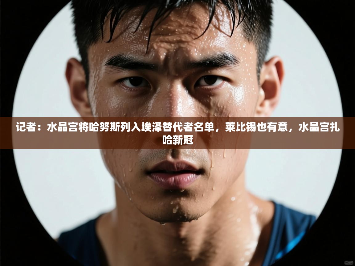 记者:水晶宫将哈努斯列入埃泽替代者名单,莱比锡也有意,水晶宫扎哈新冠 第2张