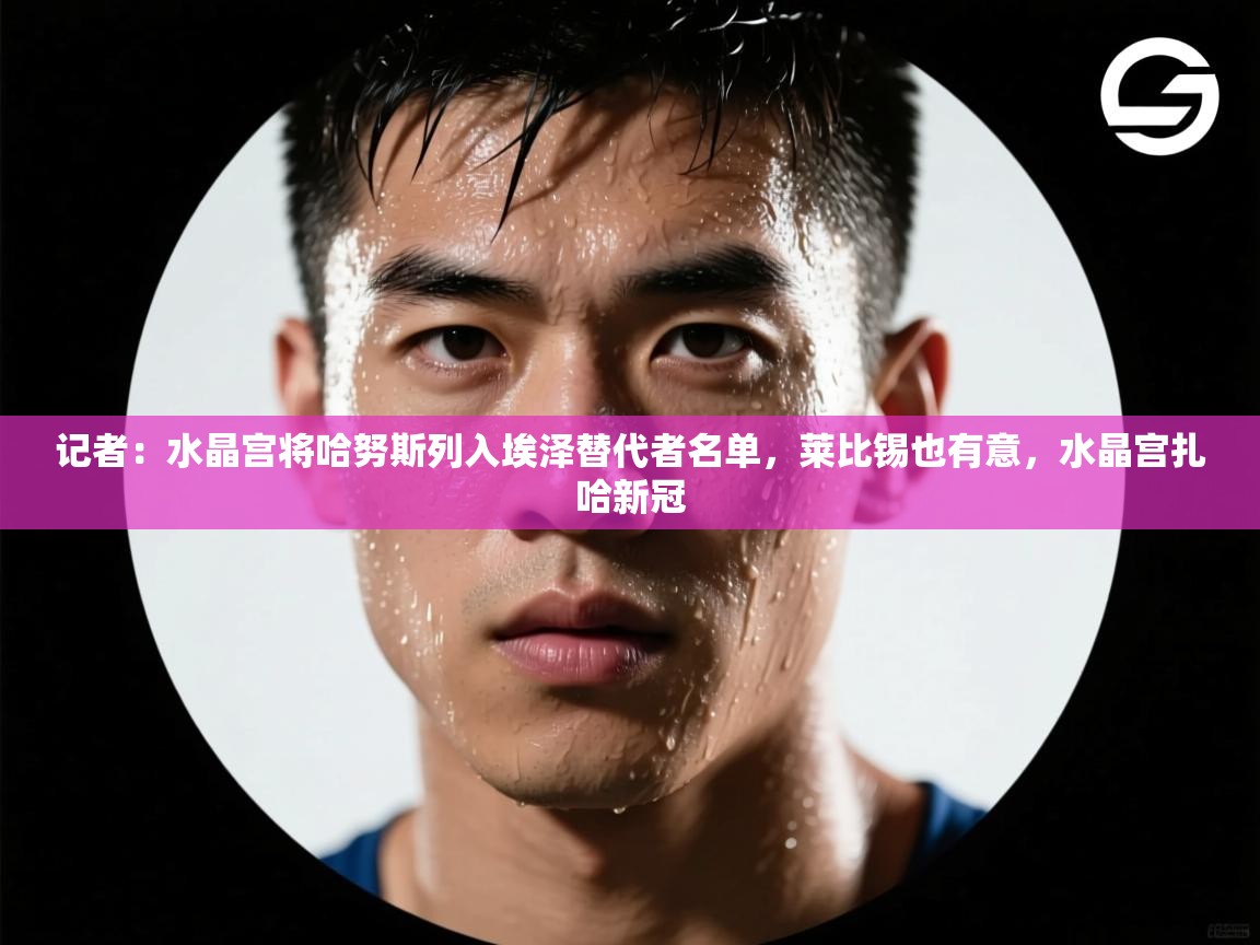 记者:水晶宫将哈努斯列入埃泽替代者名单,莱比锡也有意,水晶宫扎哈新冠 第1张