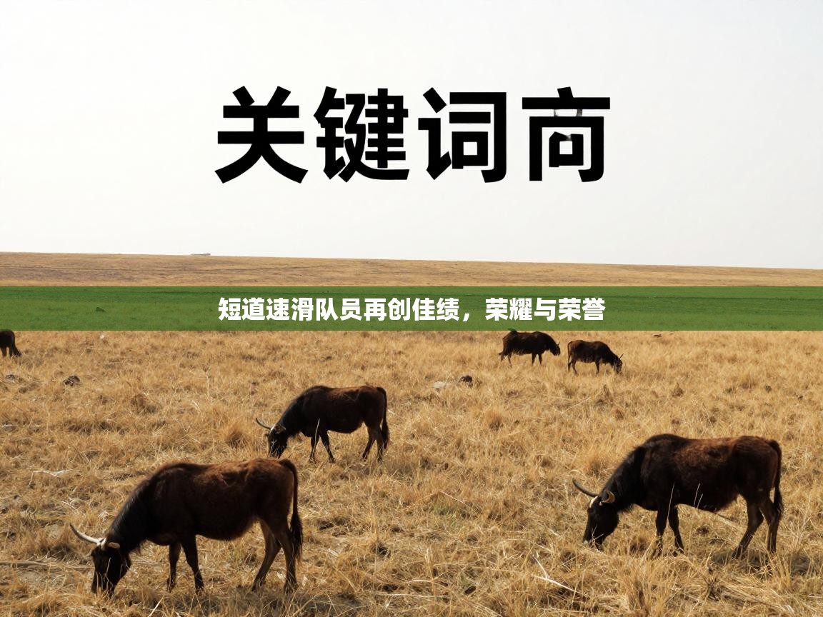 短道速滑队员再创佳绩,荣耀与荣誉 第2张