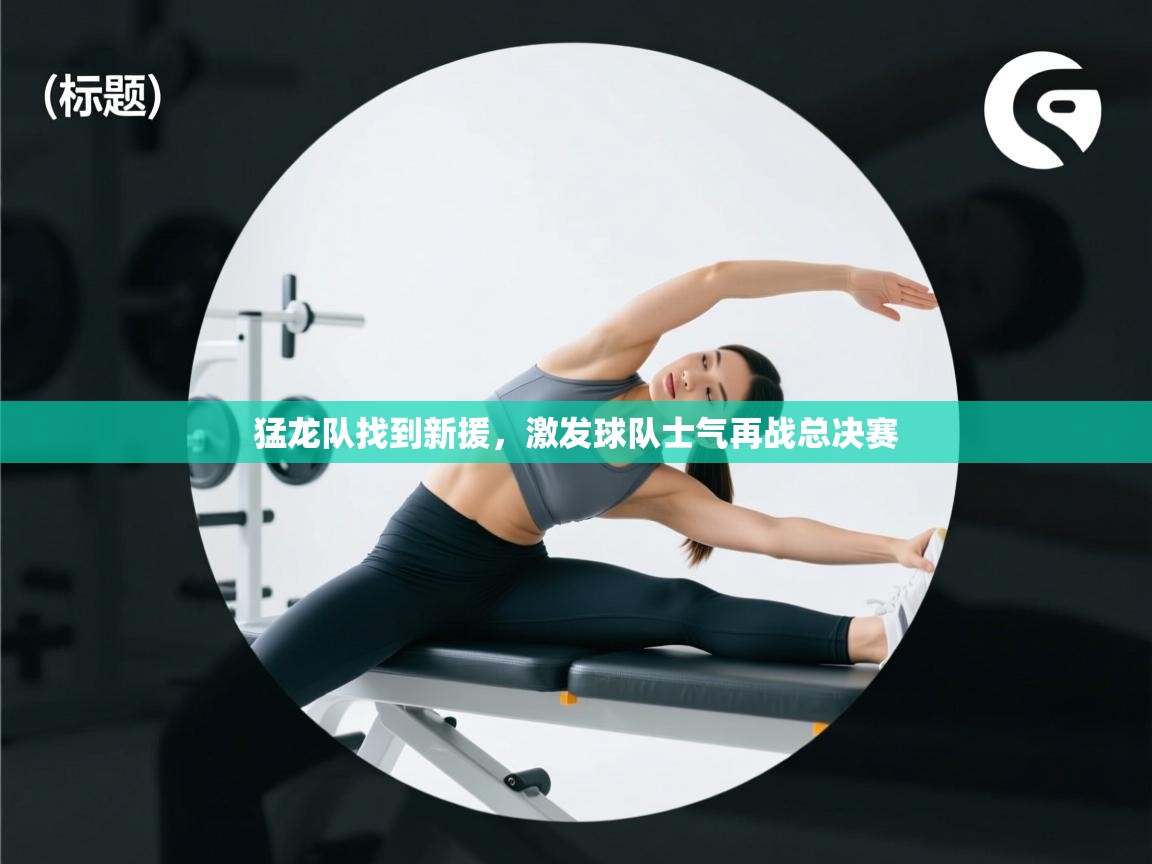 猛龙队找到新援，激发球队士气再战总决赛  第1张