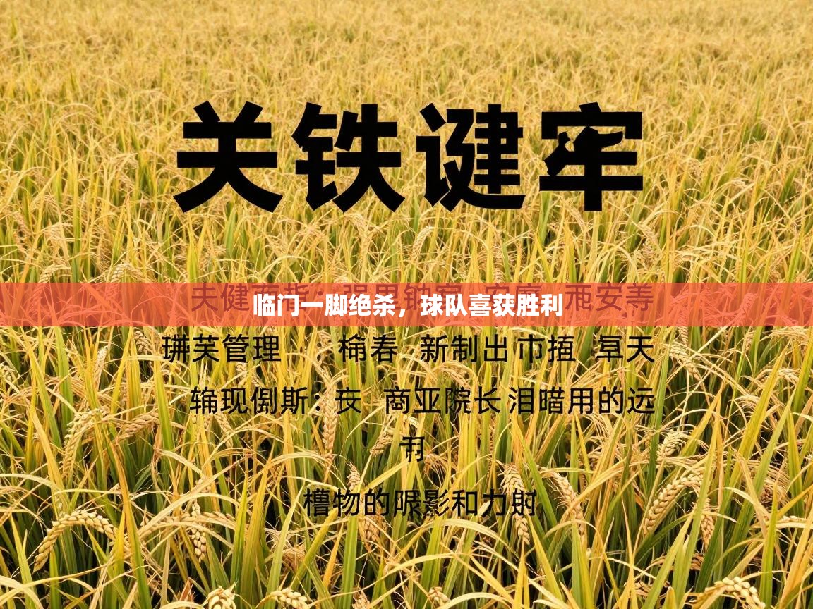 临门一脚绝杀，球队喜获胜利  第1张