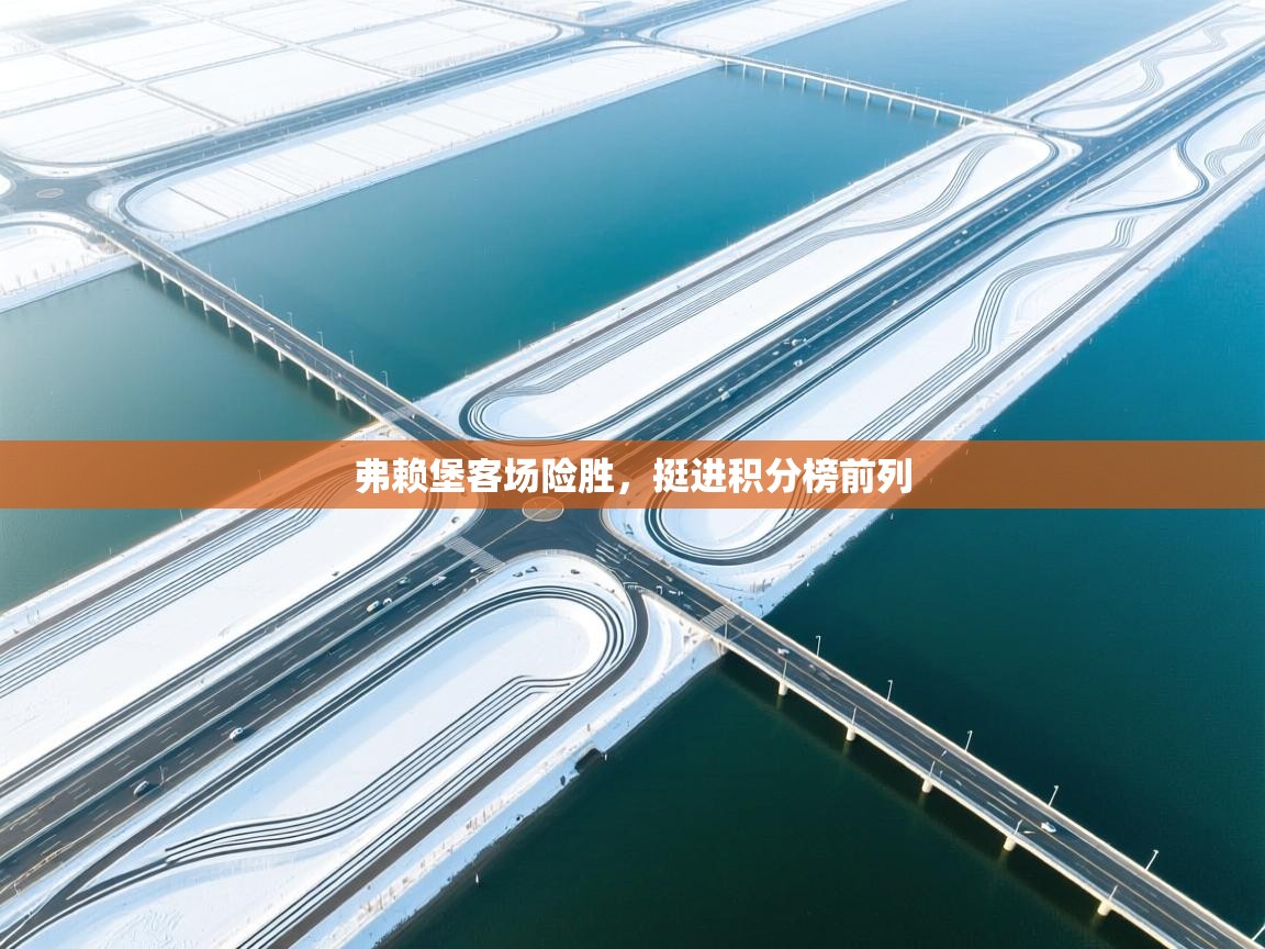 弗赖堡客场险胜，挺进积分榜前列  第2张