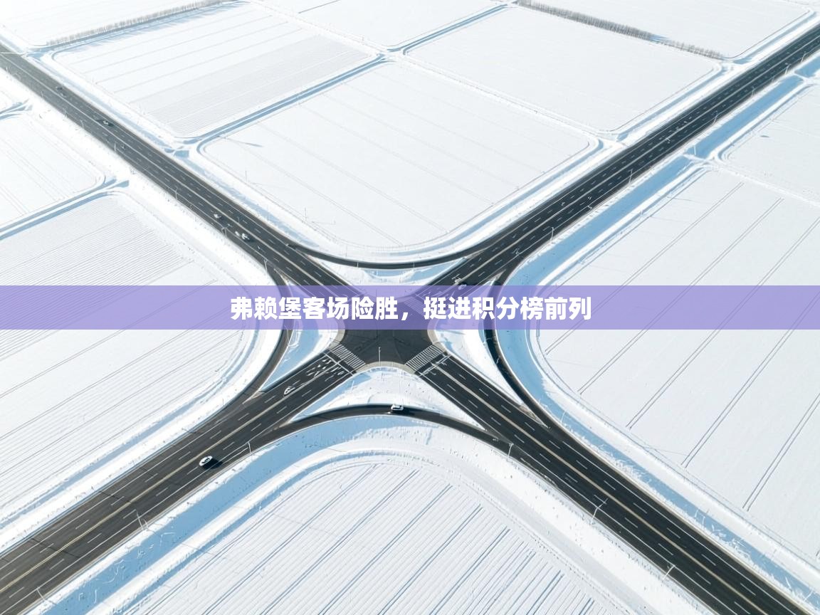 弗赖堡客场险胜，挺进积分榜前列  第1张