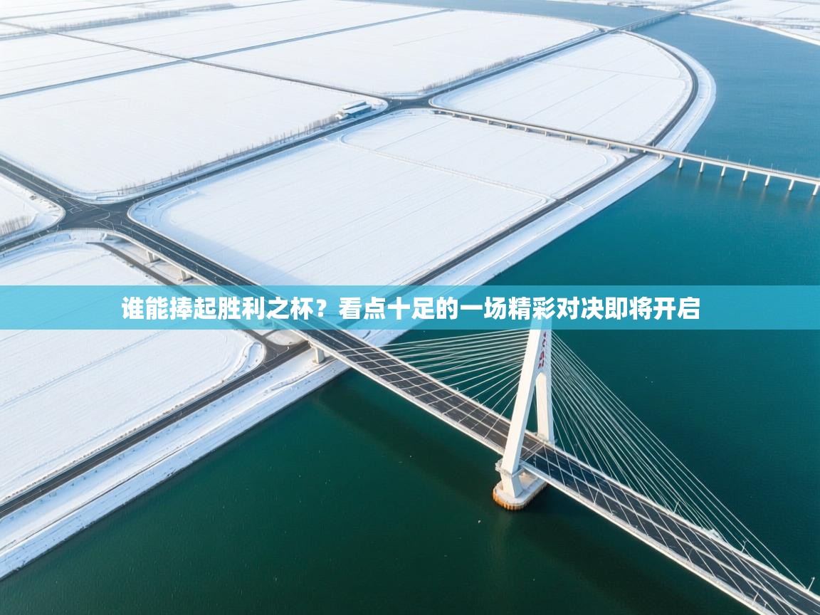 谁能捧起胜利之杯?看点十足的一场精彩对决即将开启 第1张