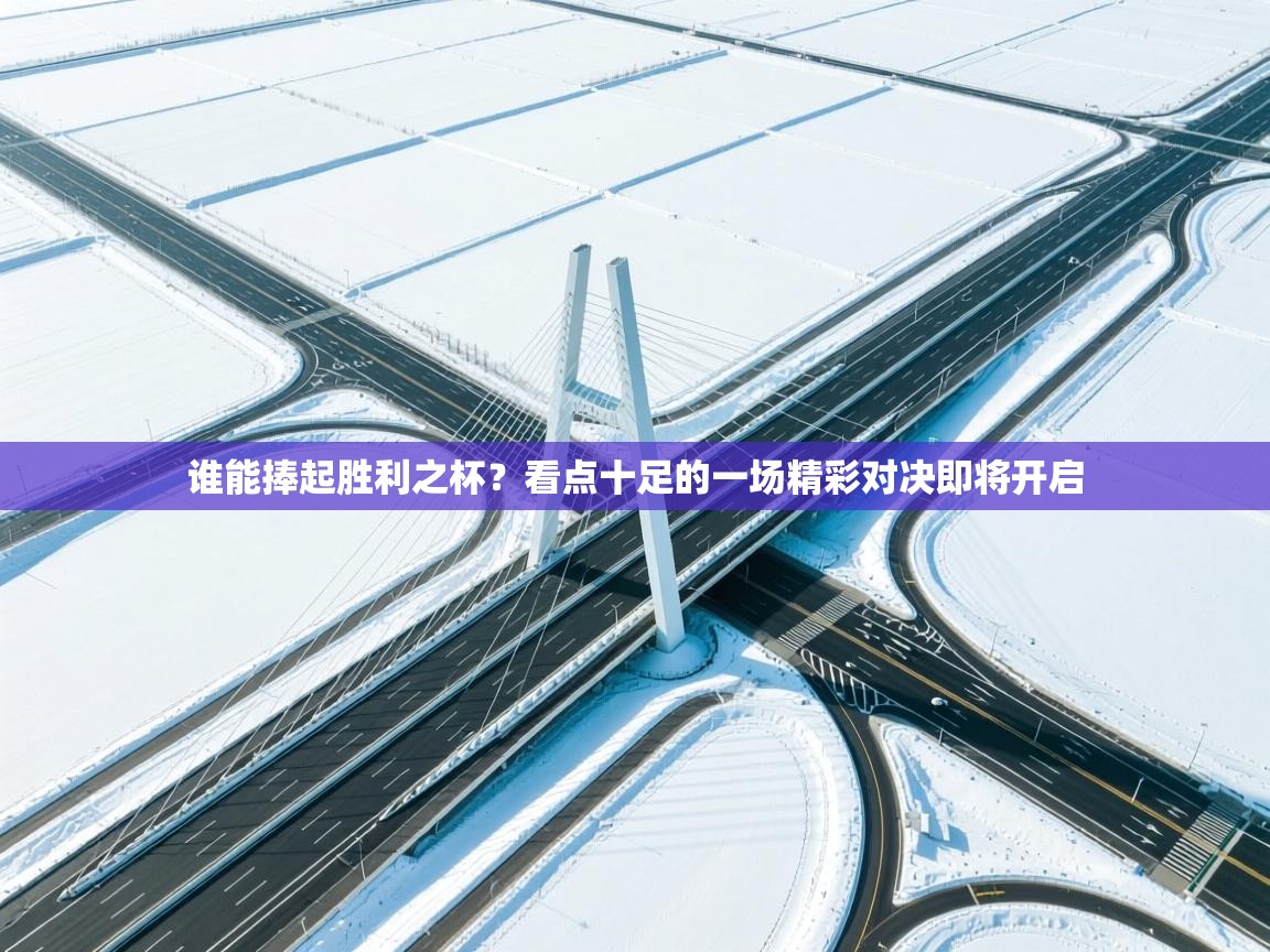 谁能捧起胜利之杯?看点十足的一场精彩对决即将开启 第2张